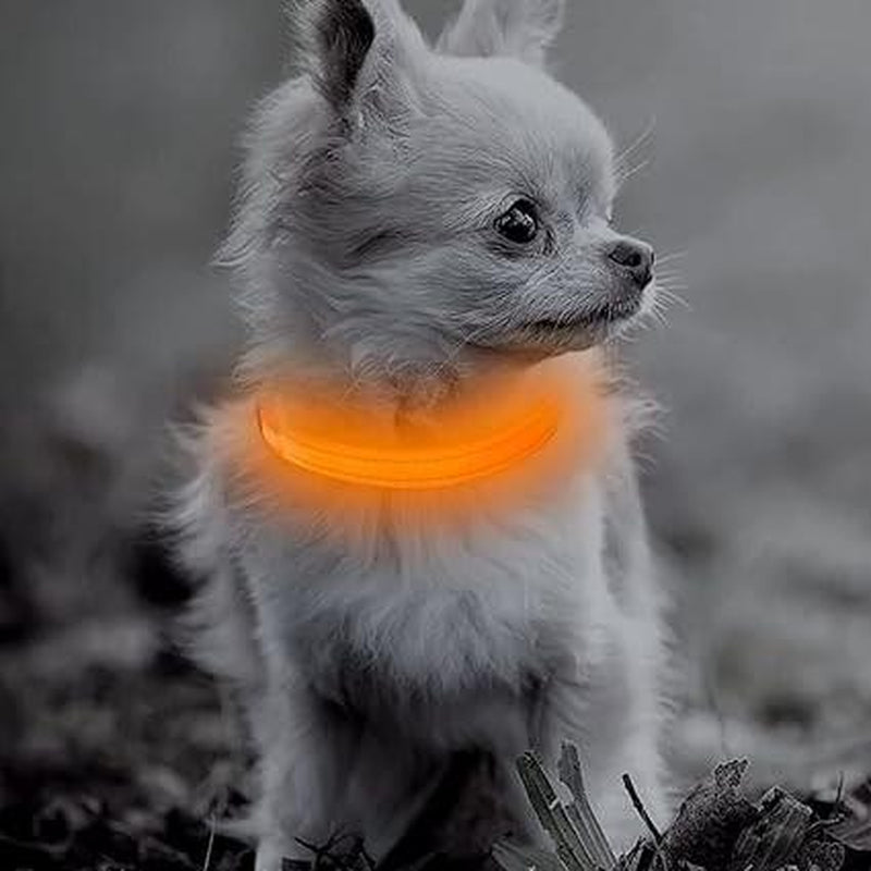 Adjustable LED Glow-in-the-Dark Pet Collar – Perfect for Dogs & Cats