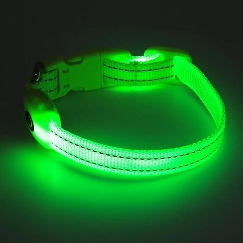 Adjustable LED Glow-in-the-Dark Pet Collar – Perfect for Dogs & Cats